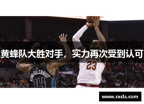 黄蜂队大胜对手，实力再次受到认可