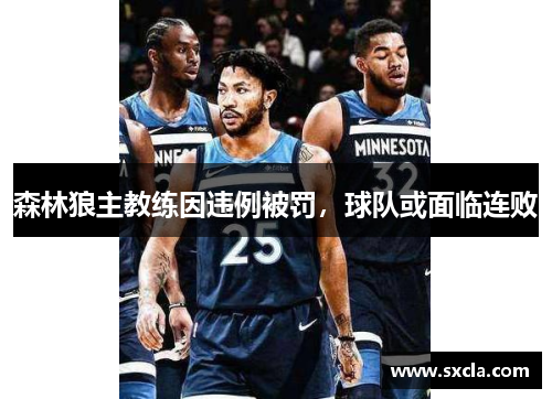 森林狼主教练因违例被罚，球队或面临连败