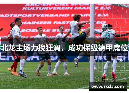 北龙主场力挽狂澜,成功保级德甲席位