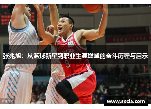 张兆旭：从篮球新星到职业生涯巅峰的奋斗历程与启示